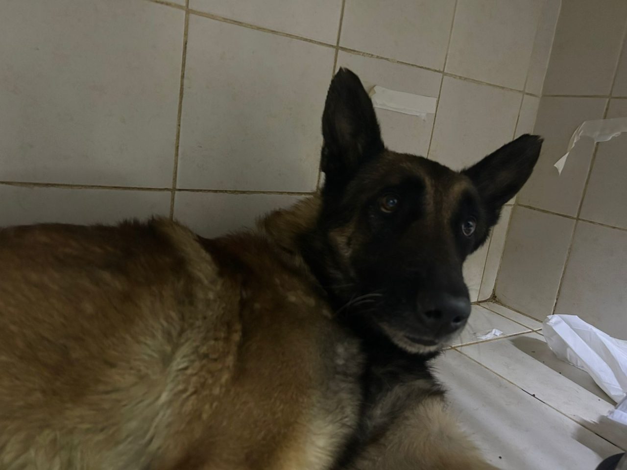 Foto